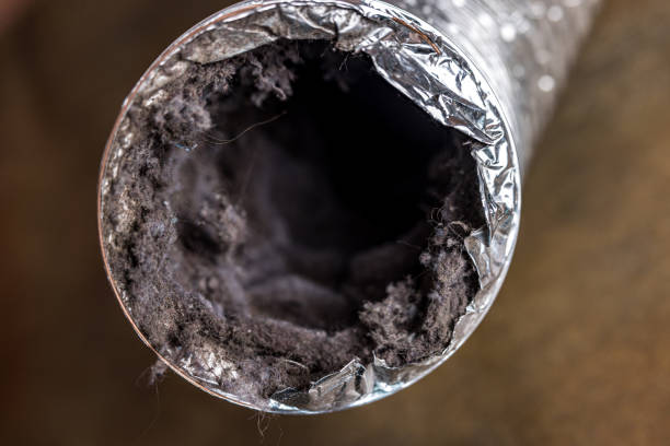 Best General Air Duct Cleaning  in Elkins, WV