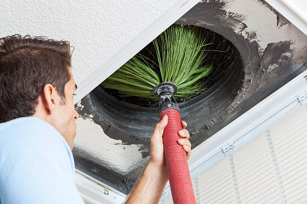 Best Affordable Duct Cleaning Services  in Elkins, WV